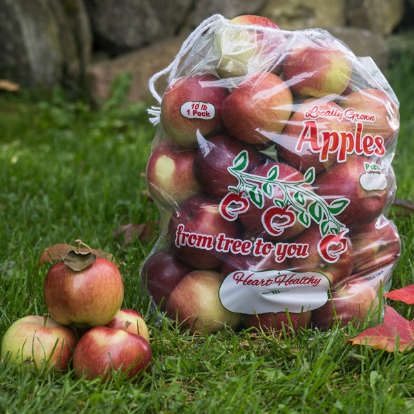 Apple bag discount